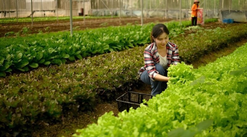 agricultura 4.0 argentina