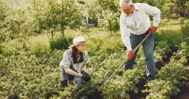agricultura sostenible lecciones costa rica rd