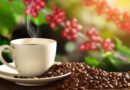 café dominicano