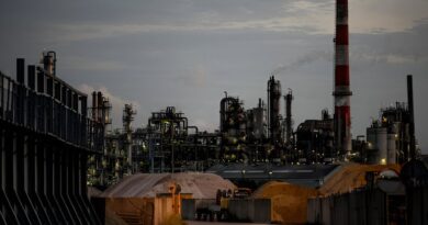 industrias en crecimiento Bolivia