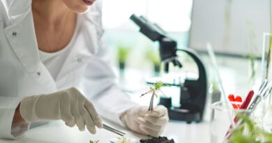 nichos biotecnologia mexico