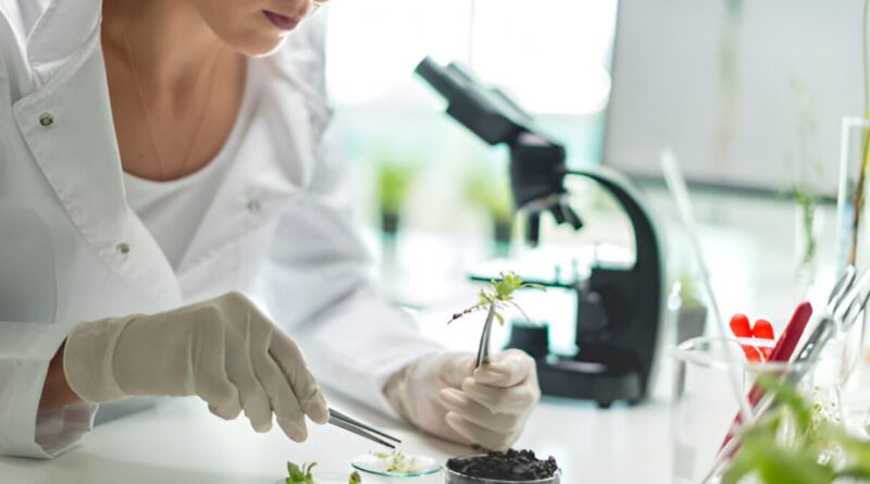 nichos biotecnologia mexico