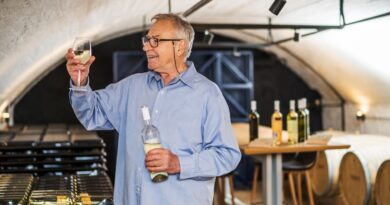 nichos inversion vino chileno