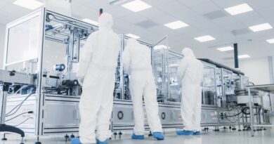 nichos manufactura mexico crecimiento