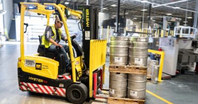 sectores en auge españa