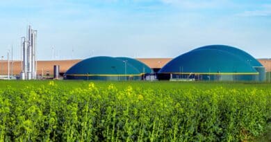 Bioenergia proyectos colombia