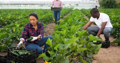 Cooperativas agrícolas orientadas a la exportación en Venezuela