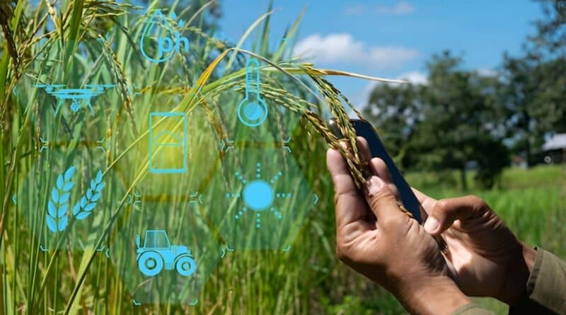 Emprendedores rurales tecnologia agricultura mexico