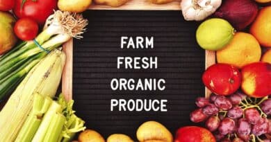 Innovaciones agricultura organica colombia