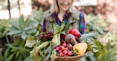 Productores locales venezuela