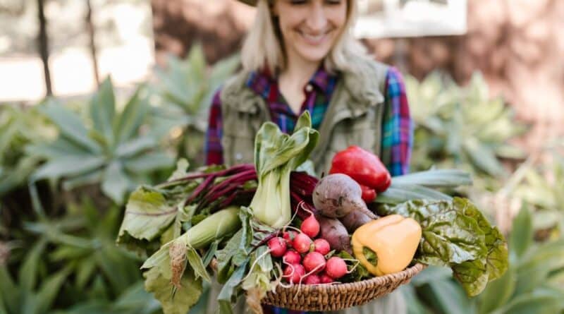 Productores locales venezuela