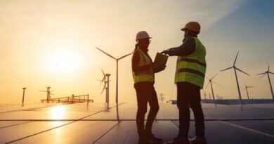 Proyectos energia renovable