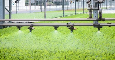 Riegos inteligentes startups regiones aridas