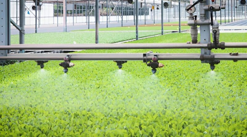 Riegos inteligentes startups regiones aridas