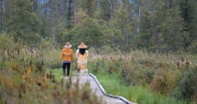 Viajes liderados por indígenas en Sudamérica