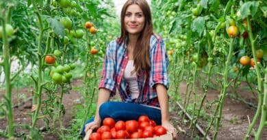 agricultura ancestral peru moderna