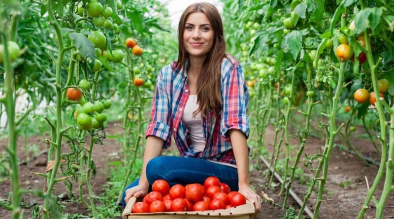 agricultura ancestral peru moderna