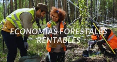 economías forestales rentables