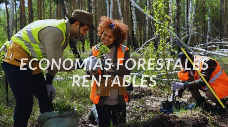 economías forestales rentables
