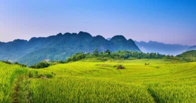 oportunidades agricultura venezuela