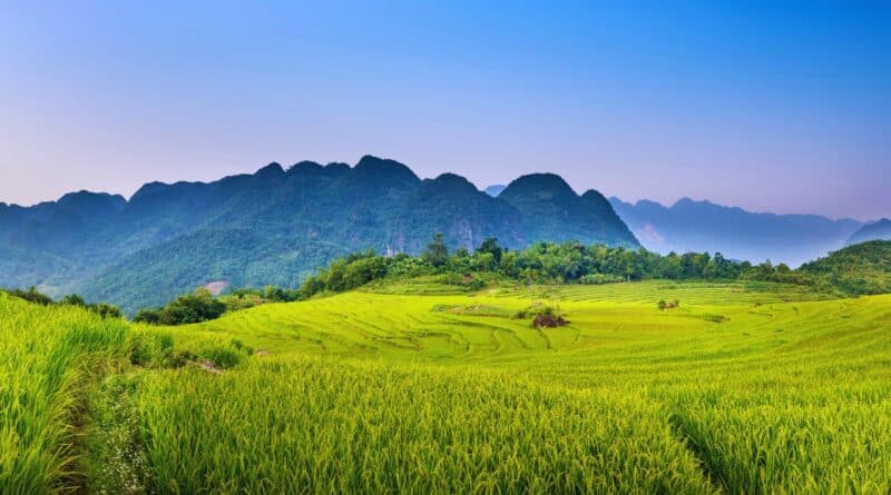 oportunidades agricultura venezuela