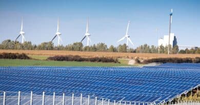 Energia renovable argentina