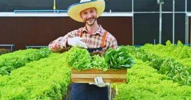 Mercados exportacion agroindustria argentina