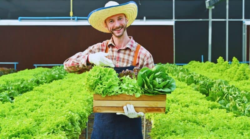 Mercados exportacion agroindustria argentina