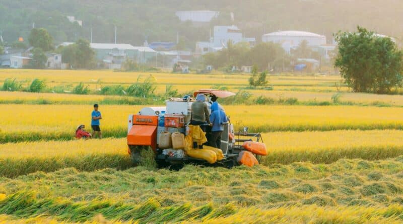 prácticas sostenibles agroindustria mexicana