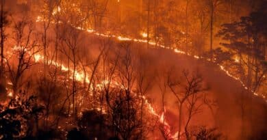 backlash chistes incendios