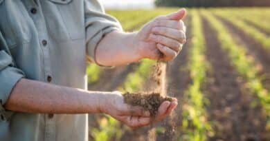 cambio climático agricultura españa