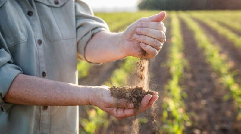 cambio climático agricultura españa