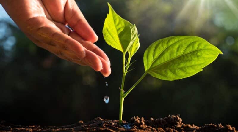 crisis agua desalinizacion españa