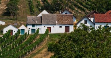 rutas del vino espana