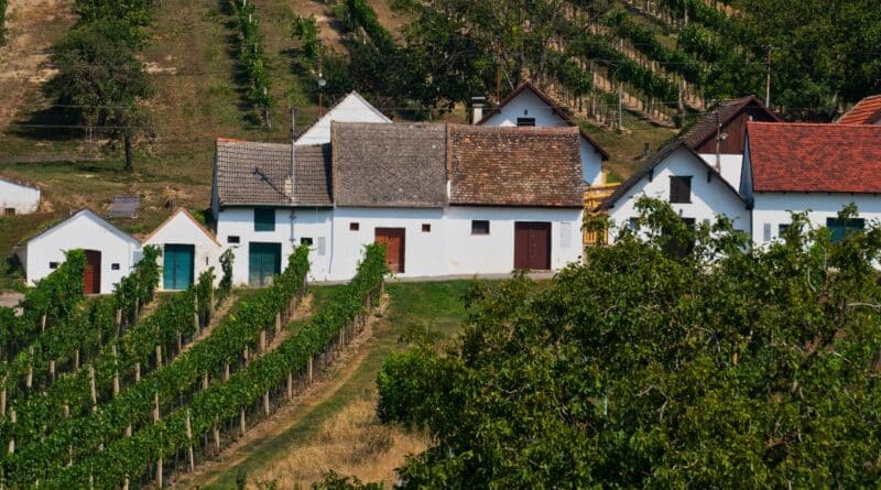 rutas del vino espana