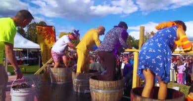 fiestas vendimia la rioja