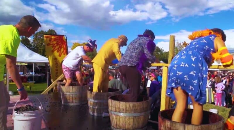 fiestas vendimia la rioja