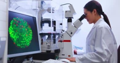 Alianzas celulas madre medicina regenerativa espana