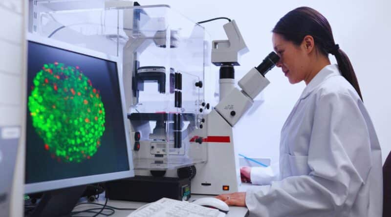 Alianzas celulas madre medicina regenerativa espana