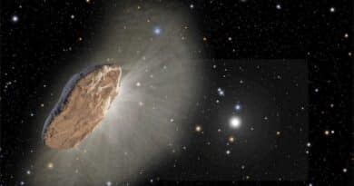 Científico de Harvard sugiere