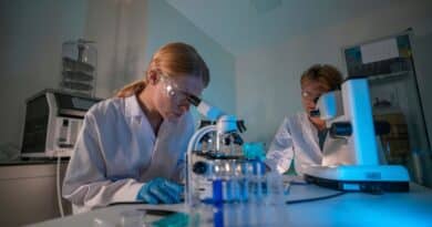 Labs investigacion espanol francia colaboracion