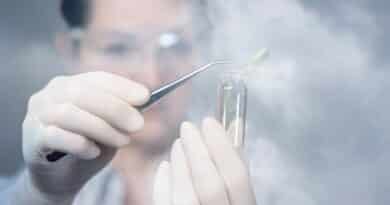 investigadores biología sintética