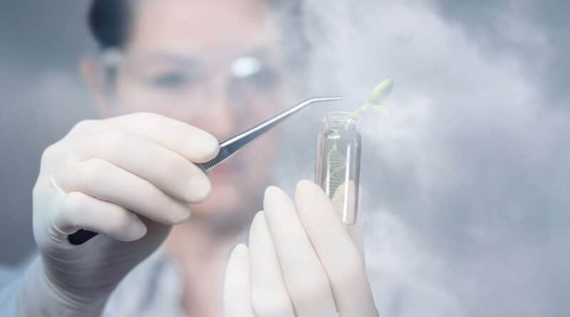 investigadores biología sintética