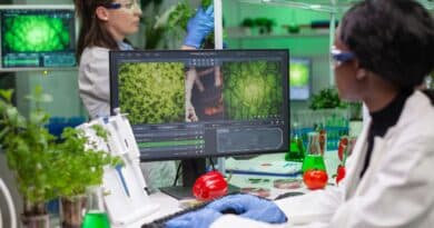 proyectos bioingeniería española