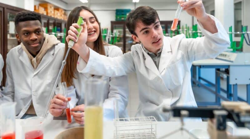 universidades españolas innovación investigación