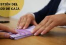 gestión del flujo de caja