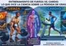 entrenamiento de fuerza vs cardio para perder grasa