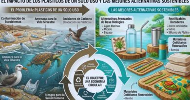 alternativas plástico de un solo uso