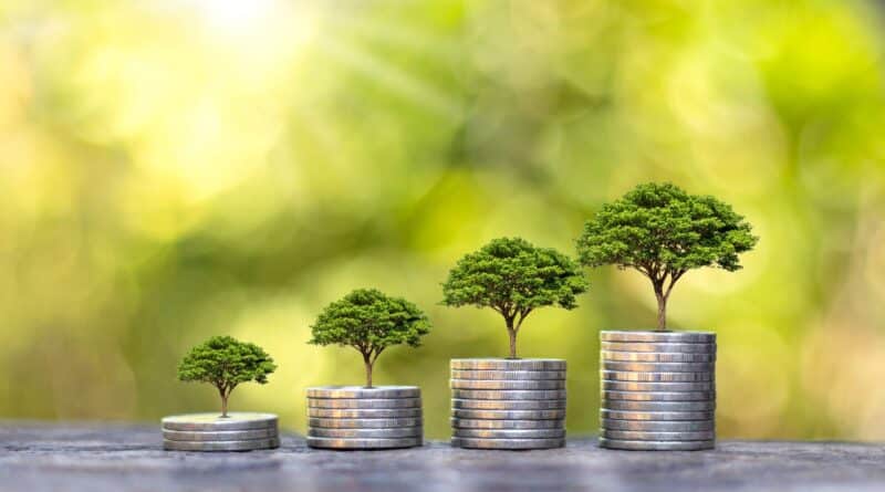 estrategias financieras para fundadores