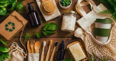 cómo iniciar un negocio de productos ecológicos